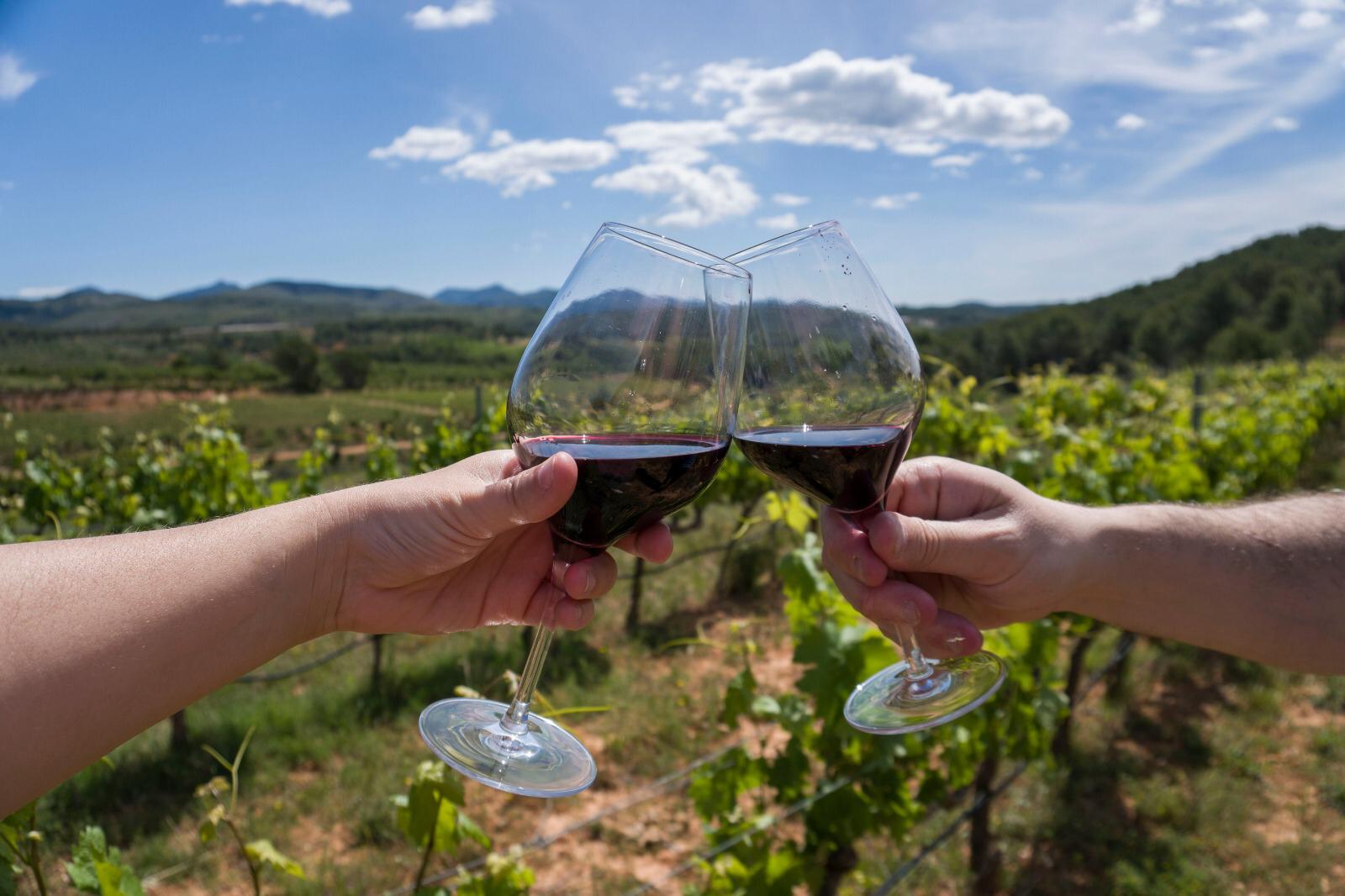 Viñedos