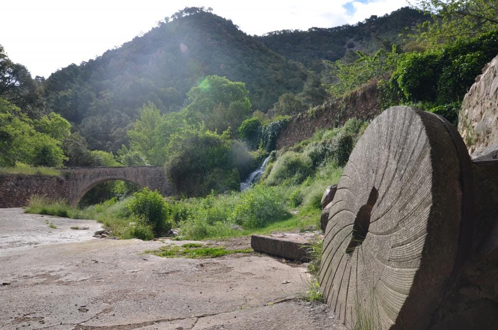 Senderismo en la Selva de Espadán