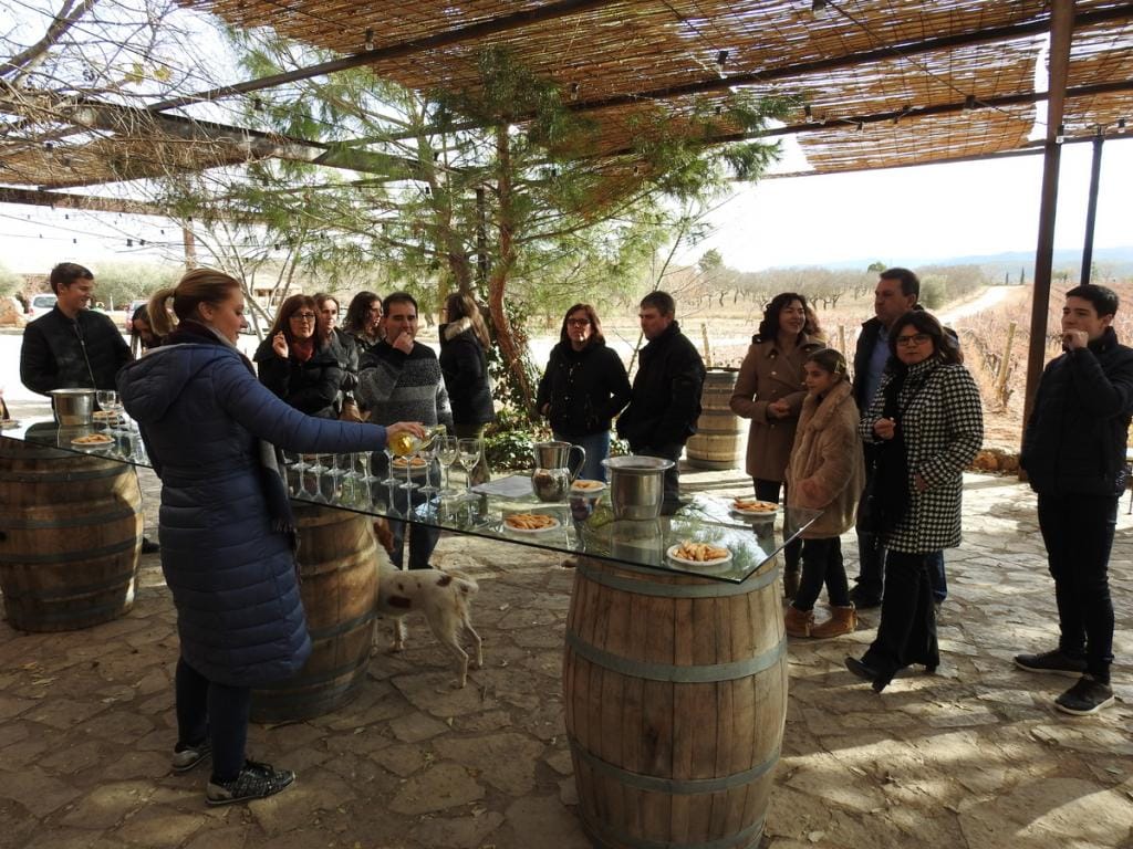 Cata vinos