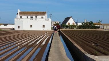 Horta Viva