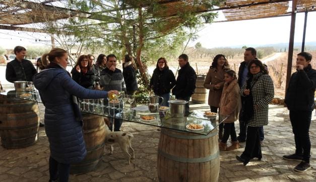 Cata vinos